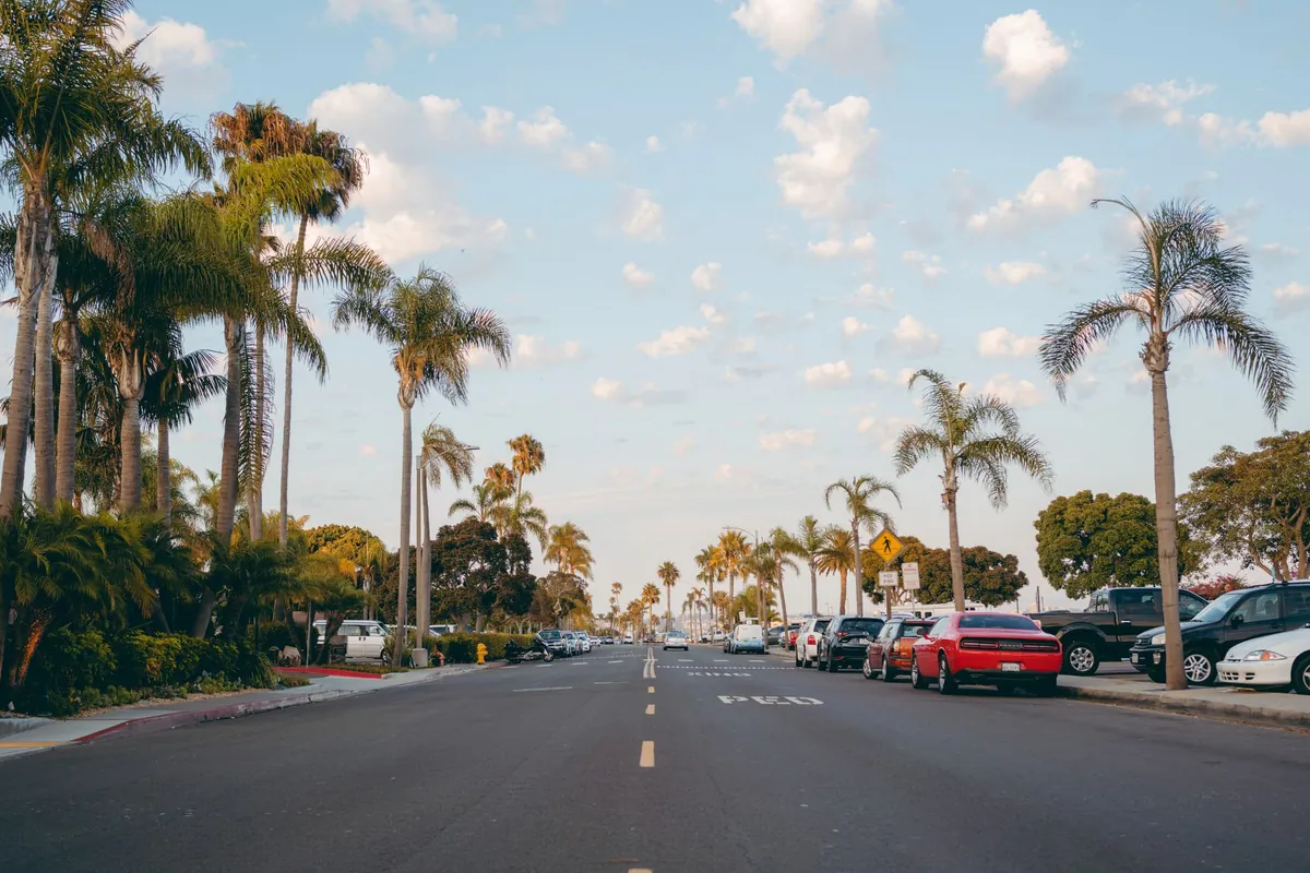 Sunny street lined with tall palm trees under a blue sky